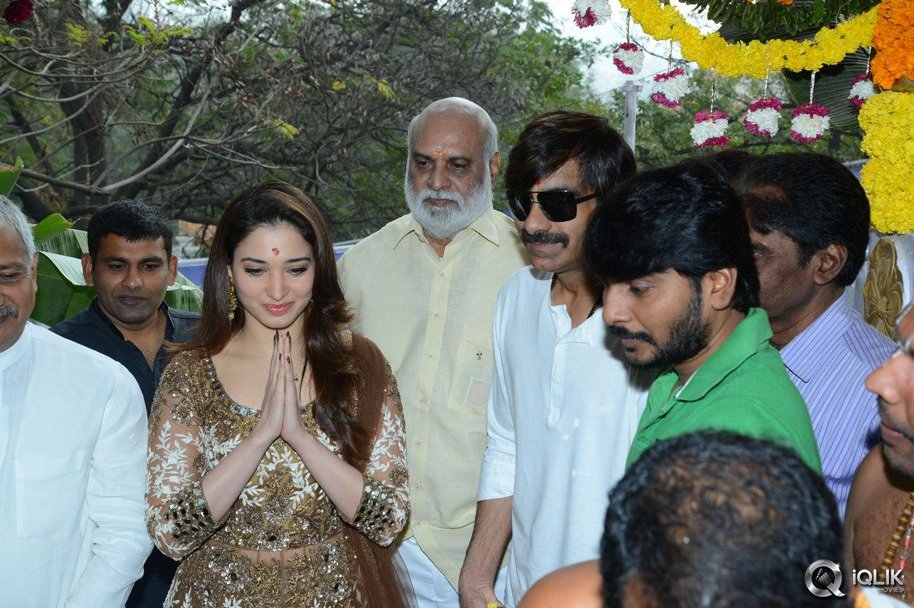 Bengal-Tiger-Movie-Opening